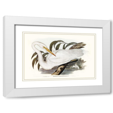 Majestic Waterbird I White Modern Wood Framed Art Print with Double Matting by Gould, Elizabeth