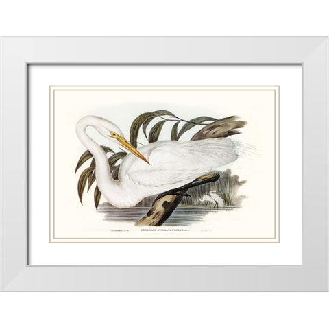 Majestic Waterbird I White Modern Wood Framed Art Print with Double Matting by Gould, Elizabeth