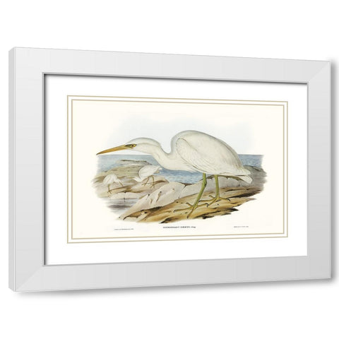 Majestic Waterbird II White Modern Wood Framed Art Print with Double Matting by Gould, Elizabeth