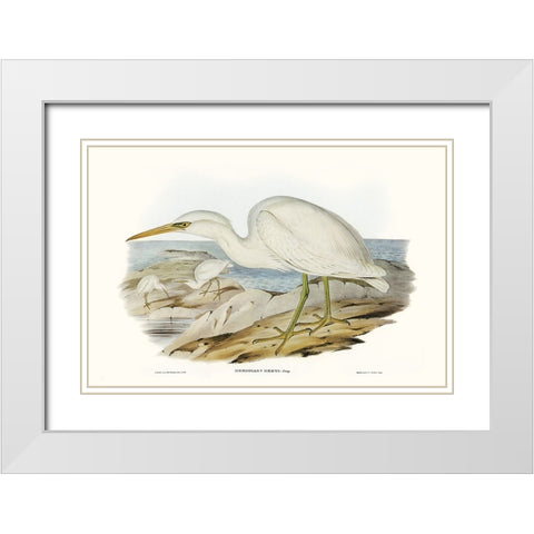 Majestic Waterbird II White Modern Wood Framed Art Print with Double Matting by Gould, Elizabeth