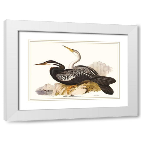 Waterbird Pairing V White Modern Wood Framed Art Print with Double Matting by Gould, Elizabeth