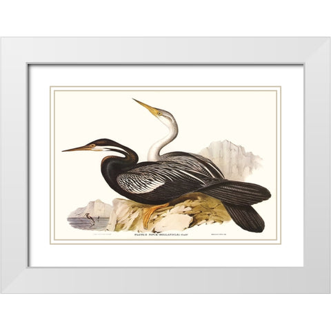 Waterbird Pairing V White Modern Wood Framed Art Print with Double Matting by Gould, Elizabeth