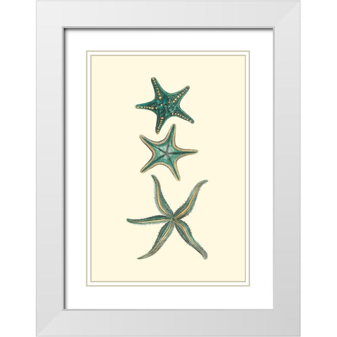 Custom Aquamarine Starfish I White Modern Wood Framed Art Print with Double Matting by Vision Studio