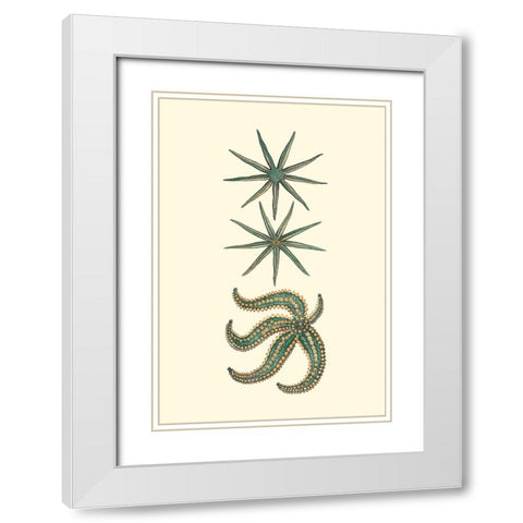 Custom Aquamarine Starfish II White Modern Wood Framed Art Print with Double Matting by Vision Studio