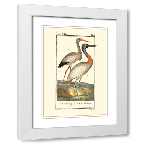 Custom Buffon Cranes And Herons I White Modern Wood Framed Art Print with Double Matting by Buffon