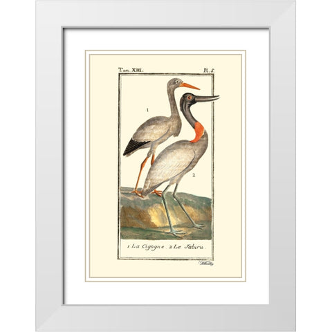 Custom Buffon Cranes And Herons I White Modern Wood Framed Art Print with Double Matting by Buffon