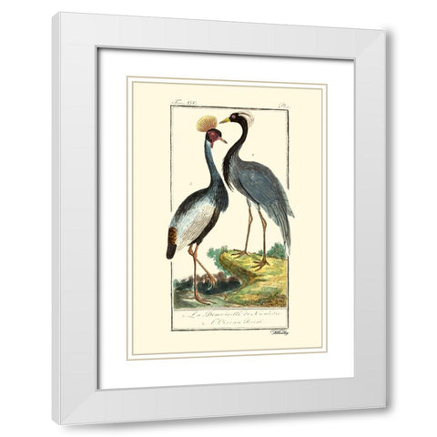 Custom Buffon Cranes And Herons II White Modern Wood Framed Art Print with Double Matting by Buffon