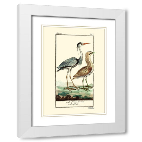Custom Buffon Cranes And Herons III White Modern Wood Framed Art Print with Double Matting by Buffon