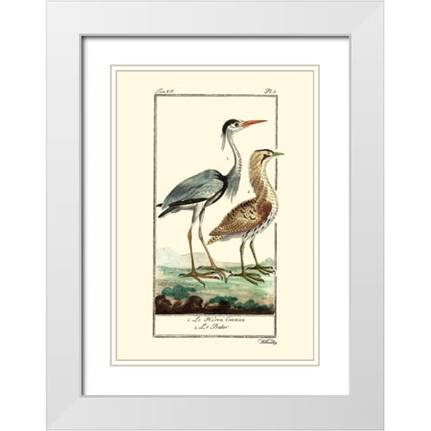 Custom Buffon Cranes And Herons III White Modern Wood Framed Art Print with Double Matting by Buffon