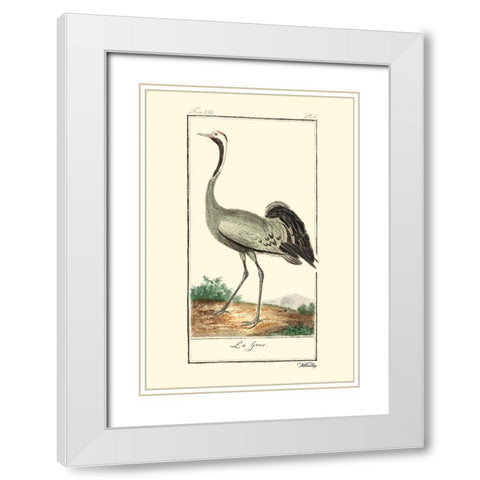 Custom Buffon Cranes And Herons IV White Modern Wood Framed Art Print with Double Matting by Buffon