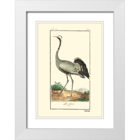Custom Buffon Cranes And Herons IV White Modern Wood Framed Art Print with Double Matting by Buffon