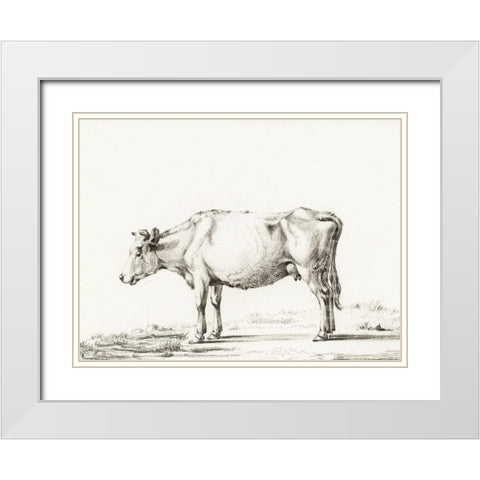 Bernard Cow Sketch II White Modern Wood Framed Art Print with Double Matting by Bernard, Jean