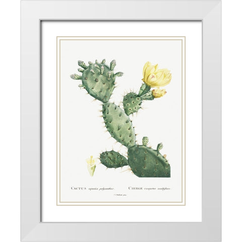 Redoute Cactus I White Modern Wood Framed Art Print with Double Matting by Redoute, Pierre