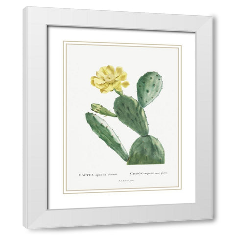Redoute Cactus II White Modern Wood Framed Art Print with Double Matting by Redoute, Pierre