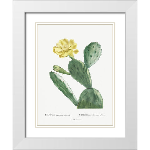 Redoute Cactus II White Modern Wood Framed Art Print with Double Matting by Redoute, Pierre