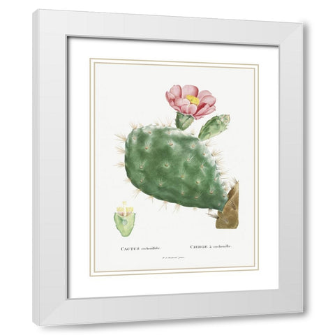 Redoute Cactus III White Modern Wood Framed Art Print with Double Matting by Redoute, Pierre