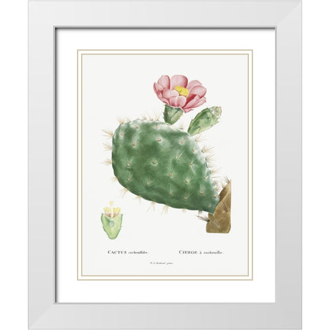 Redoute Cactus III White Modern Wood Framed Art Print with Double Matting by Redoute, Pierre