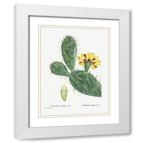 Redoute Cactus IV White Modern Wood Framed Art Print with Double Matting by Redoute, Pierre