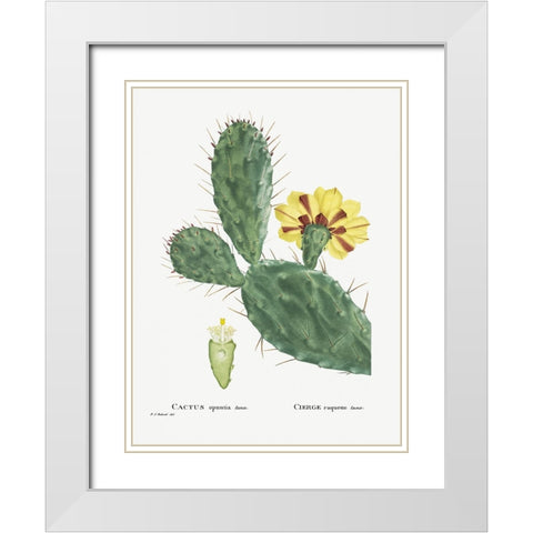 Redoute Cactus IV White Modern Wood Framed Art Print with Double Matting by Redoute, Pierre