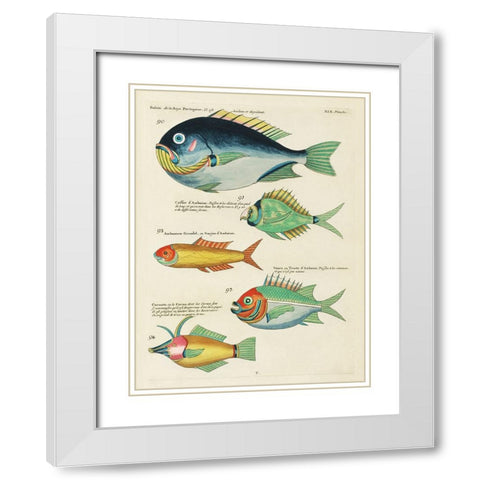 Renard Tropical Fish I White Modern Wood Framed Art Print with Double Matting by Renard, Louis
