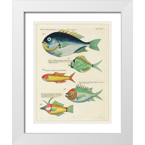 Renard Tropical Fish I White Modern Wood Framed Art Print with Double Matting by Renard, Louis