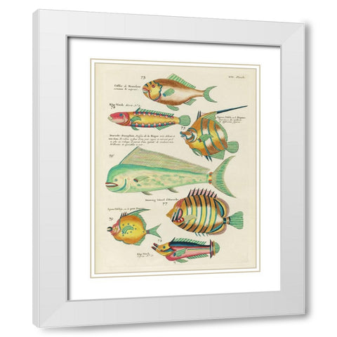 Renard Tropical Fish II White Modern Wood Framed Art Print with Double Matting by Renard, Louis