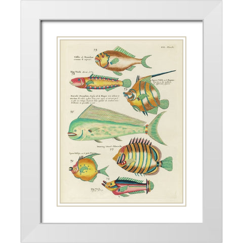 Renard Tropical Fish II White Modern Wood Framed Art Print with Double Matting by Renard, Louis
