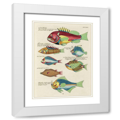 Renard Tropical Fish III White Modern Wood Framed Art Print with Double Matting by Renard, Louis