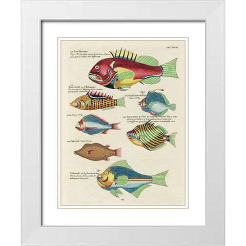 Renard Tropical Fish III White Modern Wood Framed Art Print with Double Matting by Renard, Louis