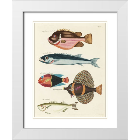 Renard Tropical Fish IV White Modern Wood Framed Art Print with Double Matting by Renard, Louis