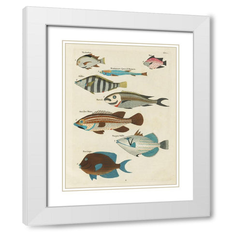 Renard Tropical Fish V White Modern Wood Framed Art Print with Double Matting by Renard, Louis