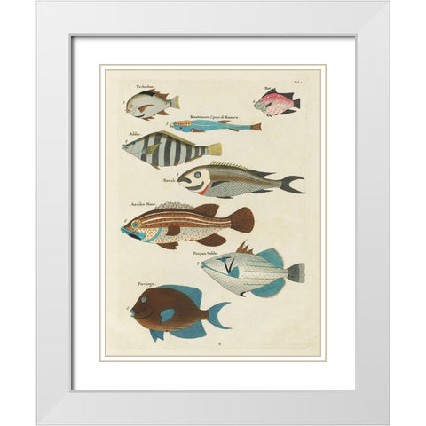 Renard Tropical Fish V White Modern Wood Framed Art Print with Double Matting by Renard, Louis