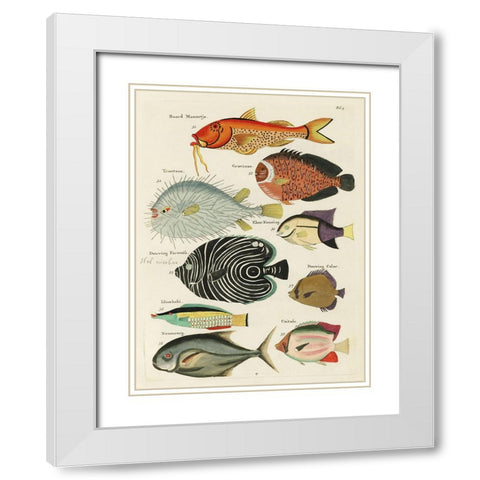 Renard Tropical Fish VI White Modern Wood Framed Art Print with Double Matting by Renard, Louis