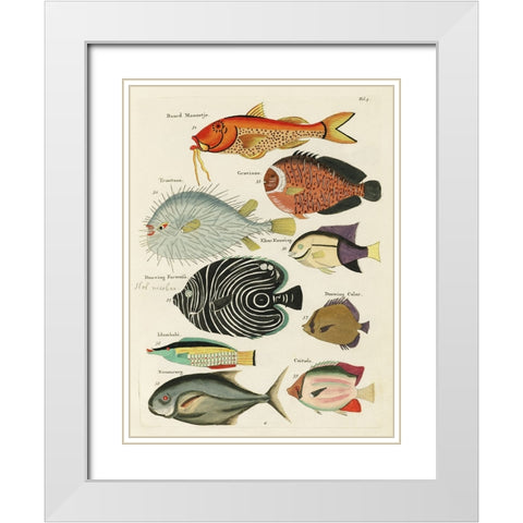 Renard Tropical Fish VI White Modern Wood Framed Art Print with Double Matting by Renard, Louis