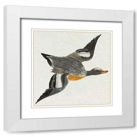 Flying Ducks I White Modern Wood Framed Art Print with Double Matting by Teyler, Johan