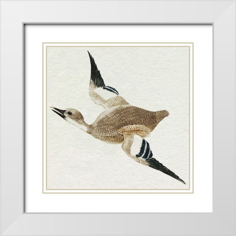 Flying Ducks II White Modern Wood Framed Art Print with Double Matting by Teyler, Johan