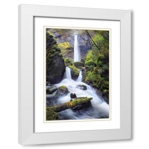 Rapid Waterfall I White Modern Wood Framed Art Print with Double Matting by Drost, David