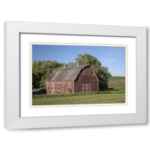 Rustic Palouse Barn I White Modern Wood Framed Art Print with Double Matting by Drost, David