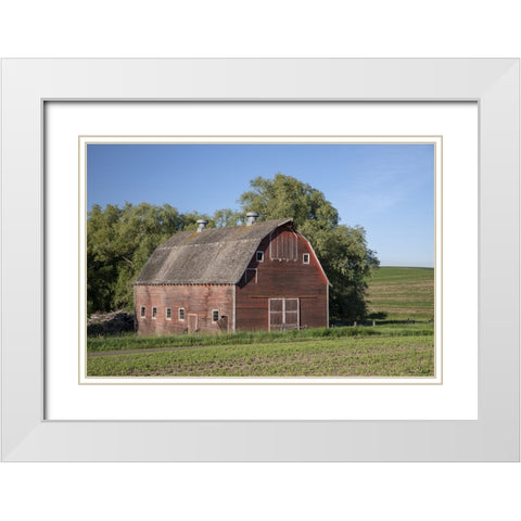 Rustic Palouse Barn I White Modern Wood Framed Art Print with Double Matting by Drost, David