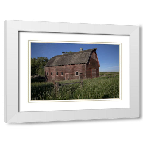 Rustic Palouse Barn II White Modern Wood Framed Art Print with Double Matting by Drost, David