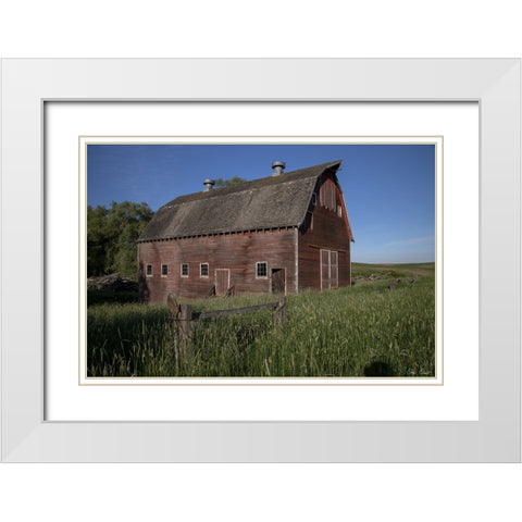 Rustic Palouse Barn II White Modern Wood Framed Art Print with Double Matting by Drost, David