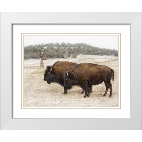 Twin Buffalo White Modern Wood Framed Art Print with Double Matting by Drost, David