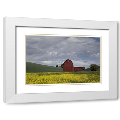 Palouse Barn and Flowers I White Modern Wood Framed Art Print with Double Matting by Drost, David