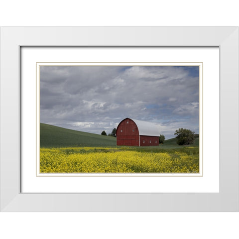 Palouse Barn and Flowers I White Modern Wood Framed Art Print with Double Matting by Drost, David