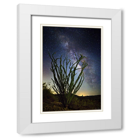 Desert Lights II White Modern Wood Framed Art Print with Double Matting by Drost, David