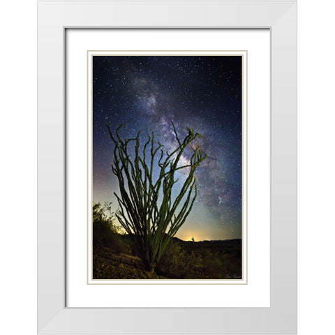 Desert Lights II White Modern Wood Framed Art Print with Double Matting by Drost, David