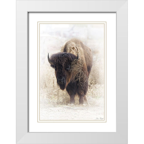 Standing Buffalo II White Modern Wood Framed Art Print with Double Matting by Drost, David