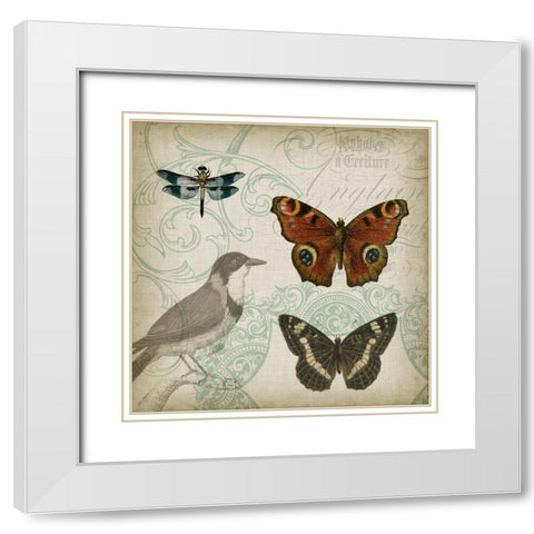 Cartouche and Wings IV White Modern Wood Framed Art Print with Double Matting by Goldberger, Jennifer