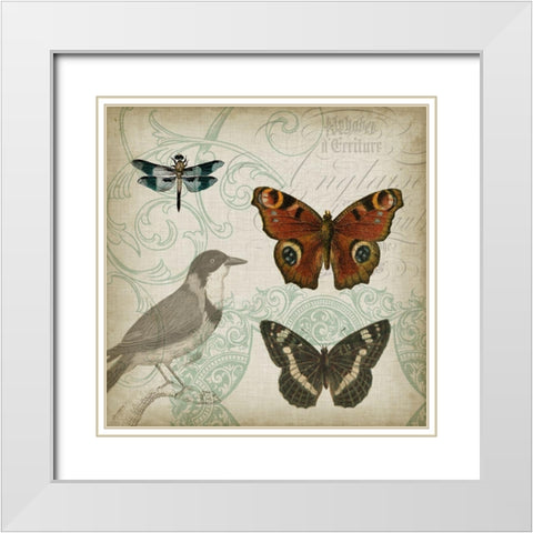 Cartouche and Wings IV White Modern Wood Framed Art Print with Double Matting by Goldberger, Jennifer