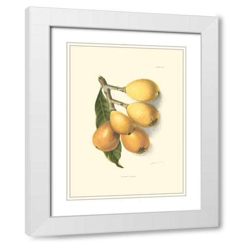 Custom Island Fronds II White Modern Wood Framed Art Print with Double Matting by Vess, June Erica